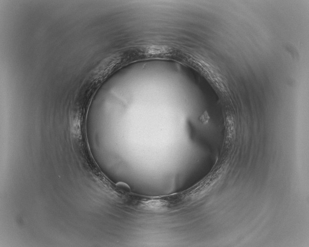 X0000115520269200911201705