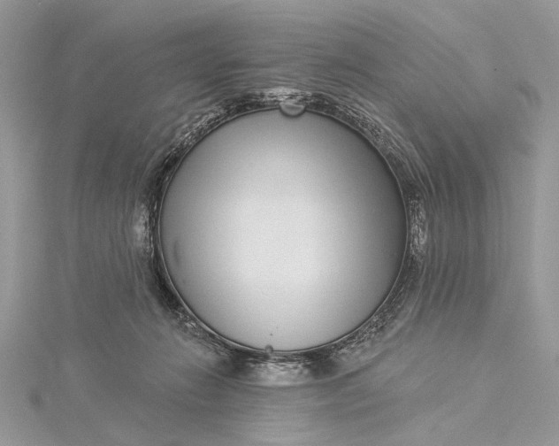 X0000115520270200911201705