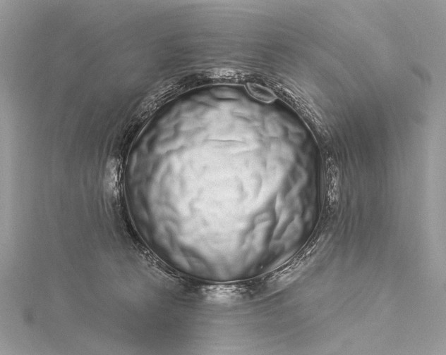 X0000115520273200911201705