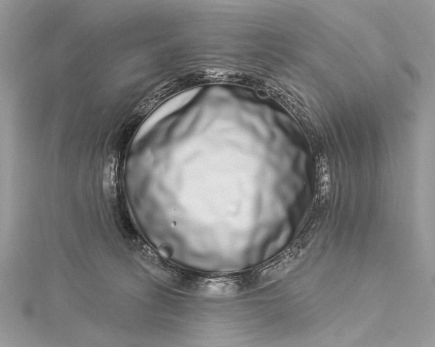 X0000115520275200911201705