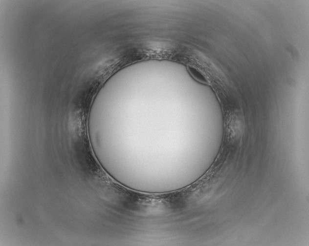 X0000115520276200911201705