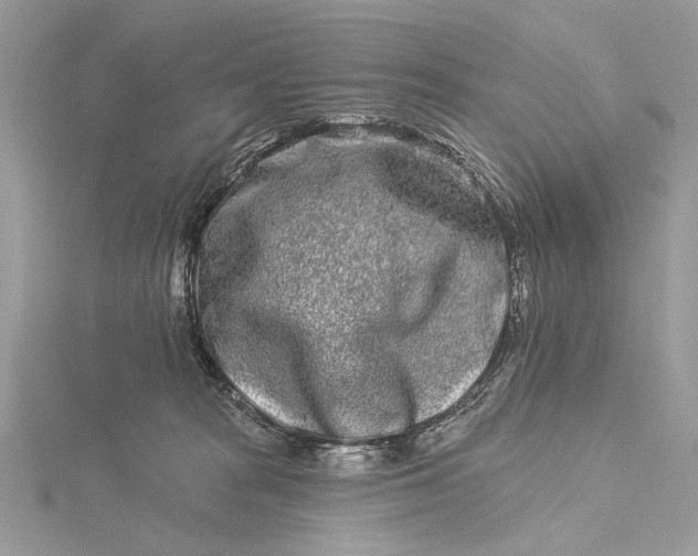 X0000115520277200911201705