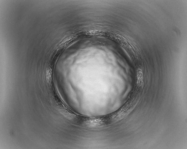 X0000115520278200911201705