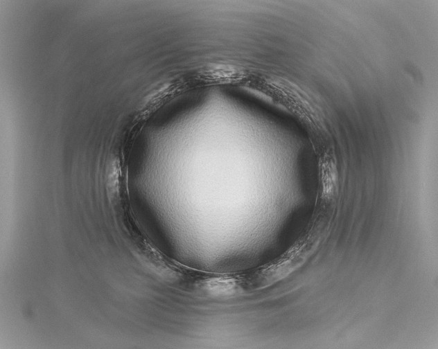 X0000115520279200911201705