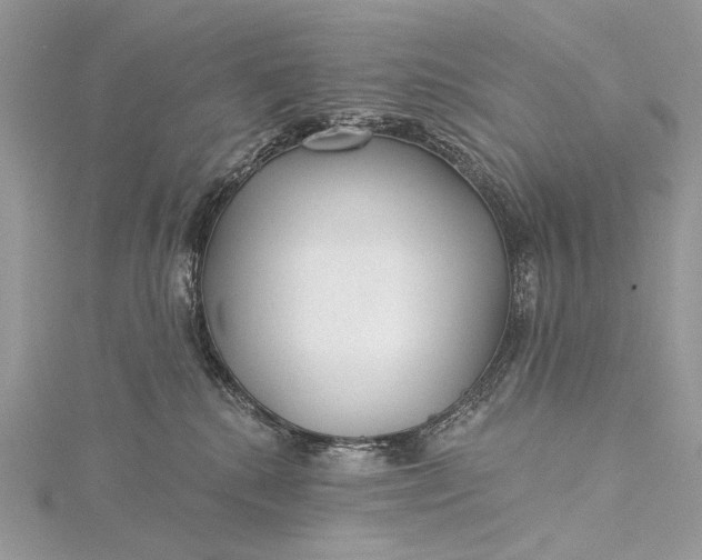 X0000115520280200911201705