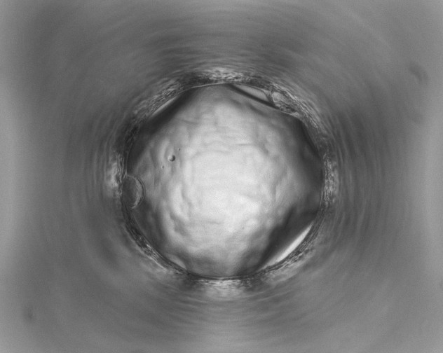 X0000115520281200911201705