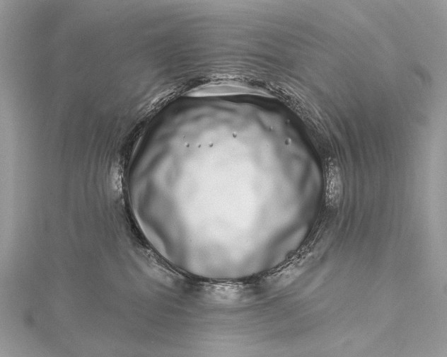 X0000115520282200911201705