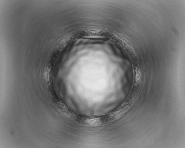 X0000115520283200911201705