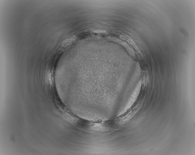 X0000115520285200911201705