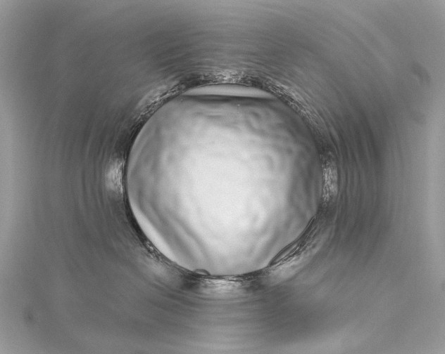 X0000115520286200911201705