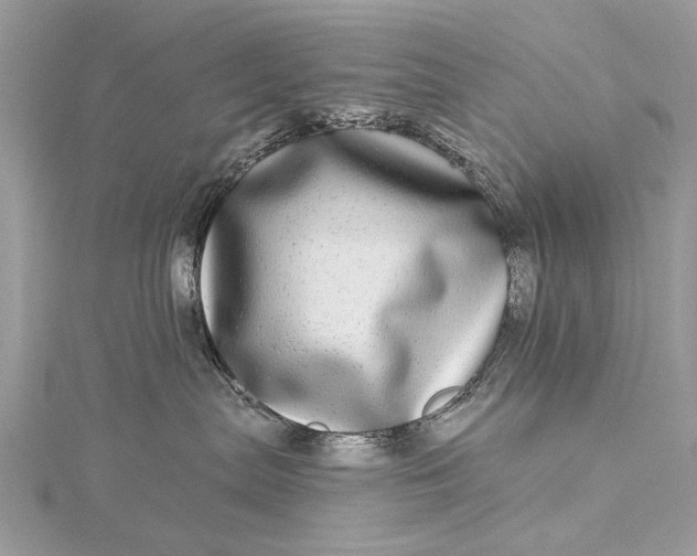 X0000115520287200911201705