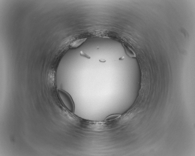 X0000115520288200911201705