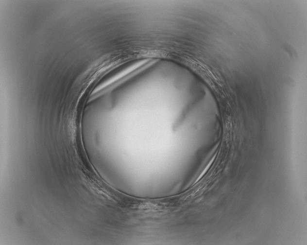 X0000115520290200911201705