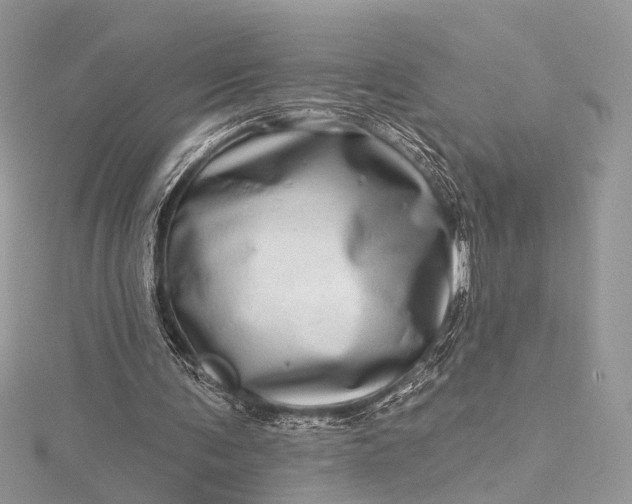 X0000115520291200911201705