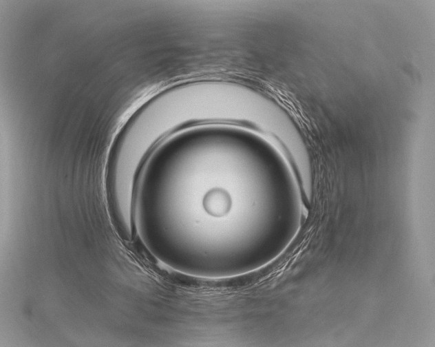 X0000115520292200911201705