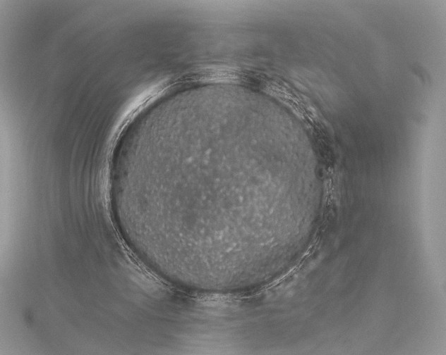 X0000115520293200911201705