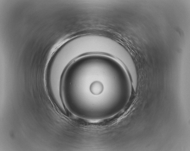 X0000115520294200911201705