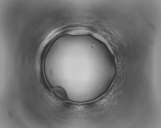 X0000115520295200911201705