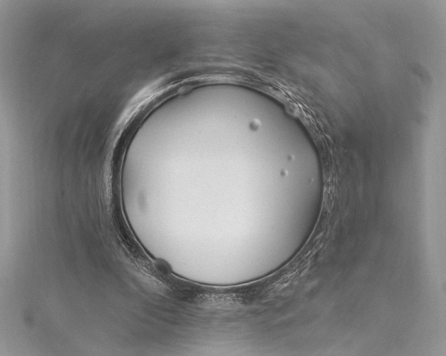 X0000115520296200911201705