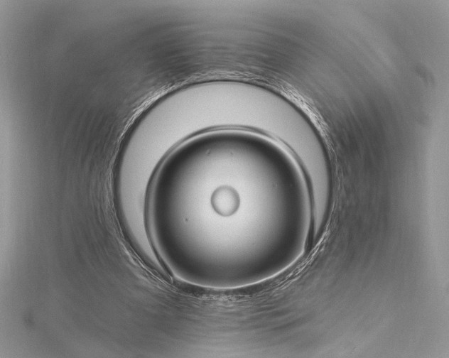 X0000115520297200911201705