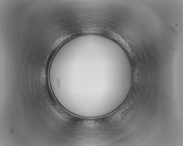 X0000115520298200911201705