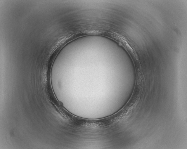 X0000115520299200911201705