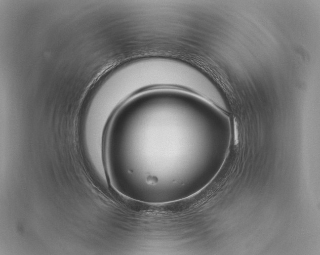 X0000115520300200911201705