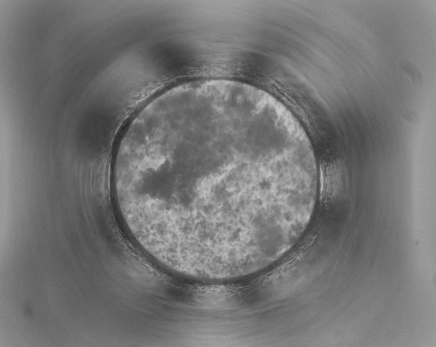 X0000115520301200911201705