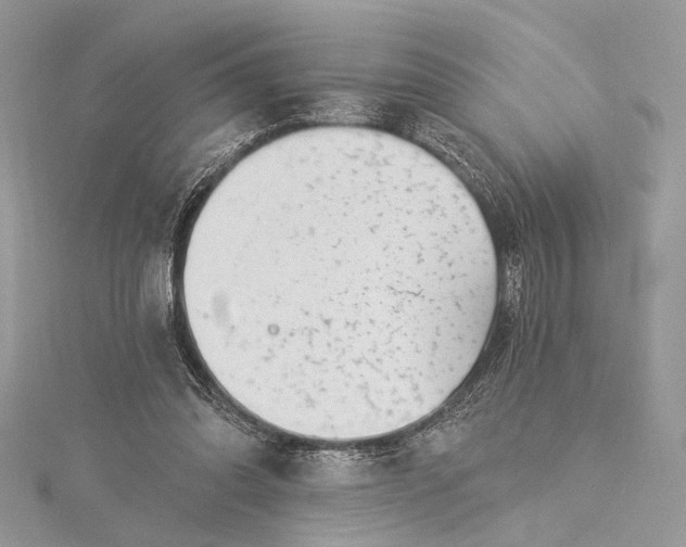 X0000115520302200911201705