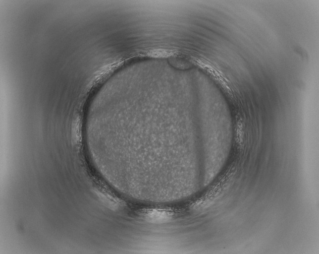 X0000115520303200911201705