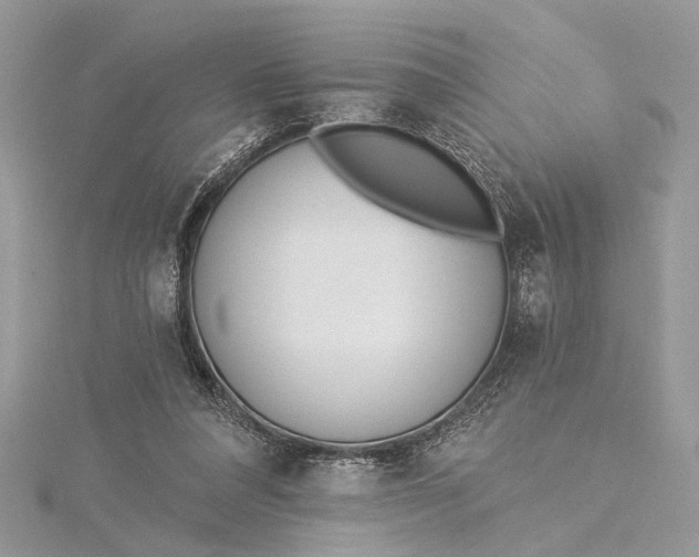 X0000115520304200911201704