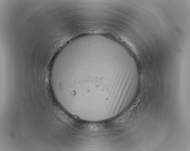 X0000115520305200911201704