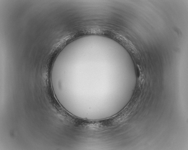 X0000115520306200911201704