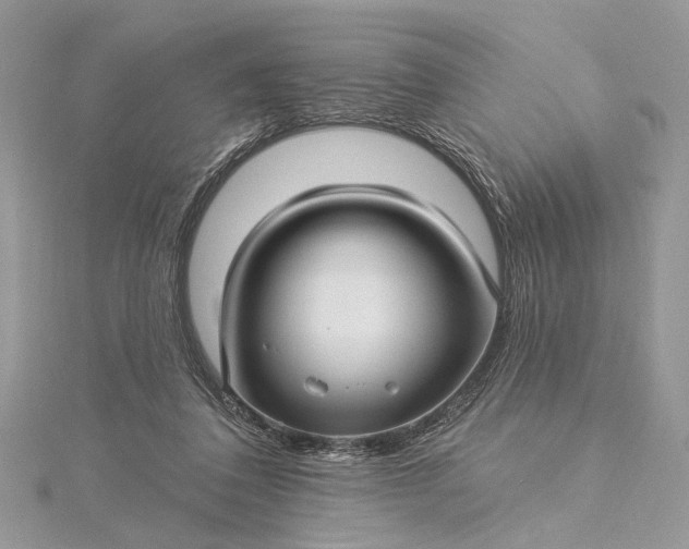 X0000115520308200911201704