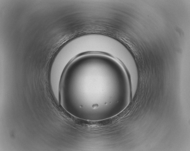 X0000115520309200911201704