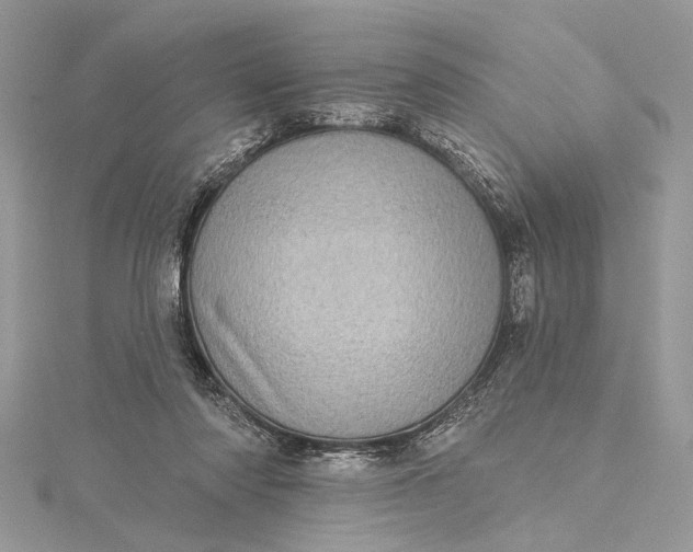 X0000115520310200911201704