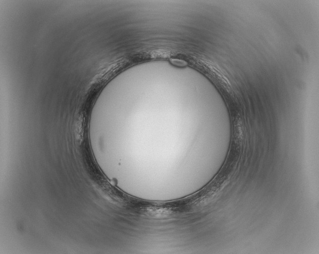 X0000115520311200911201704