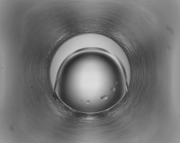 X0000115520312200911201704