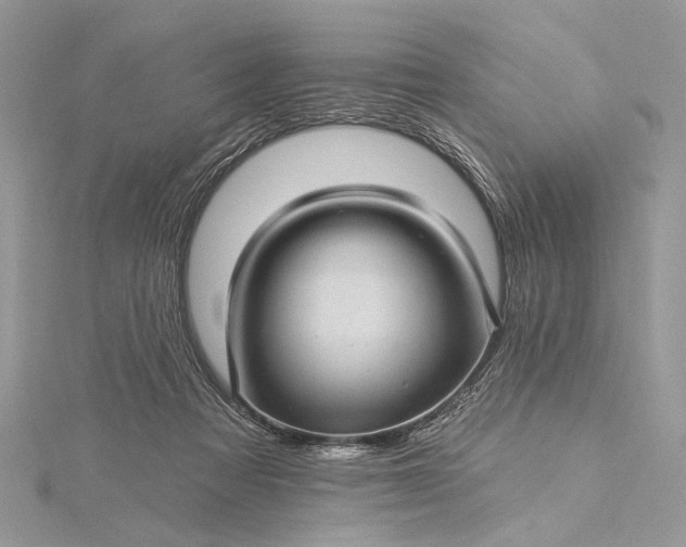 X0000115520313200911201704