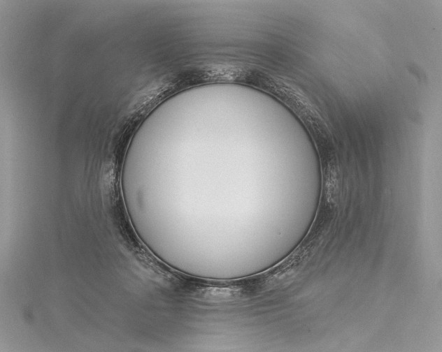 X0000115520314200911201704