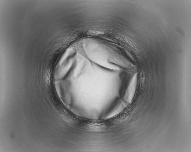 X0000115520315200911201704