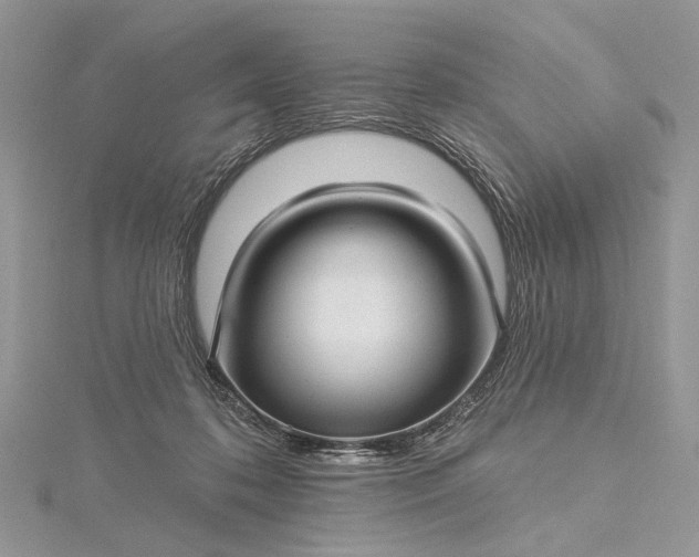 X0000115520316200911201704