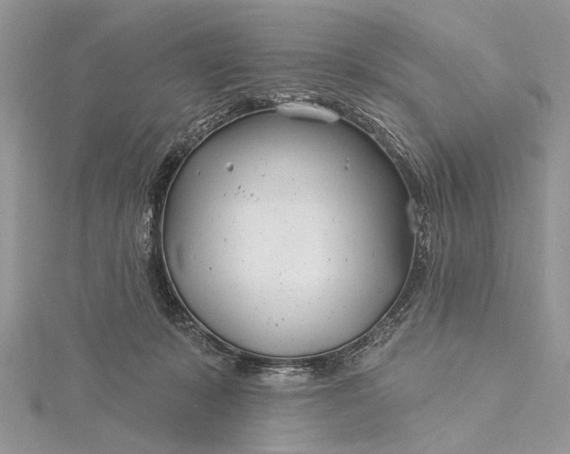 X0000115520319200911201704