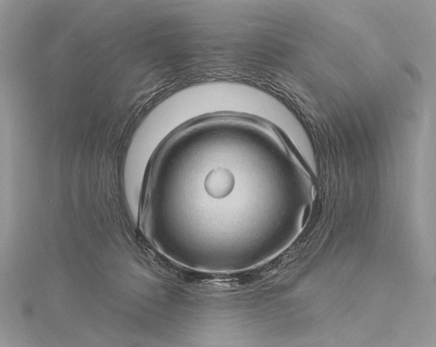 X0000115520320200911201704