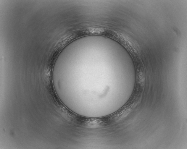 X0000115520321200911201704