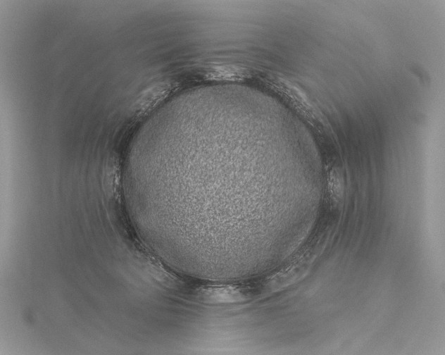 X0000115520322200911201704