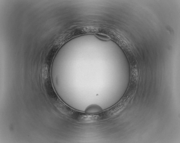 X0000115520323200911201704