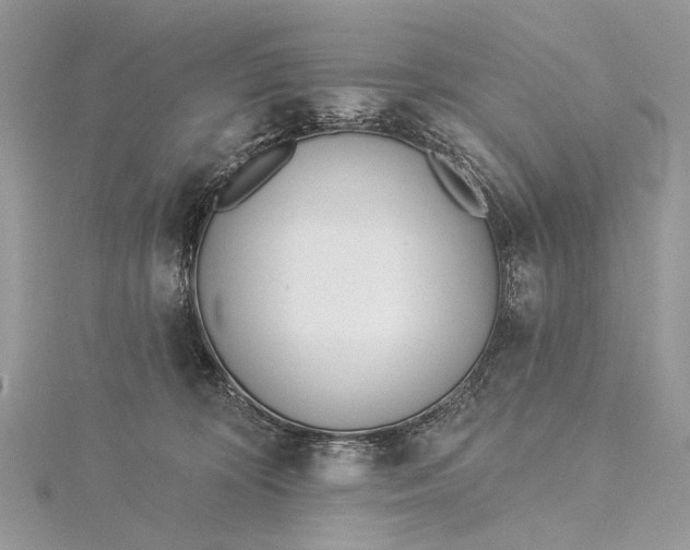 X0000115520324200911201704