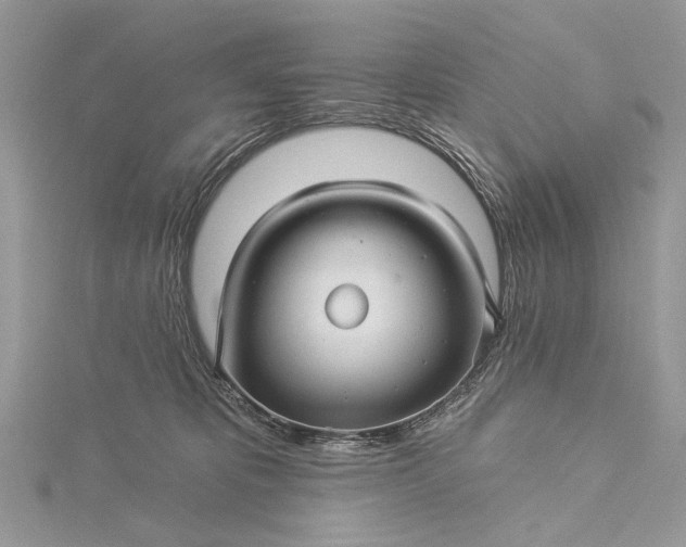 X0000115520325200911201704