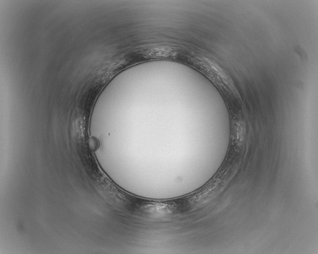 X0000115520326200911201704